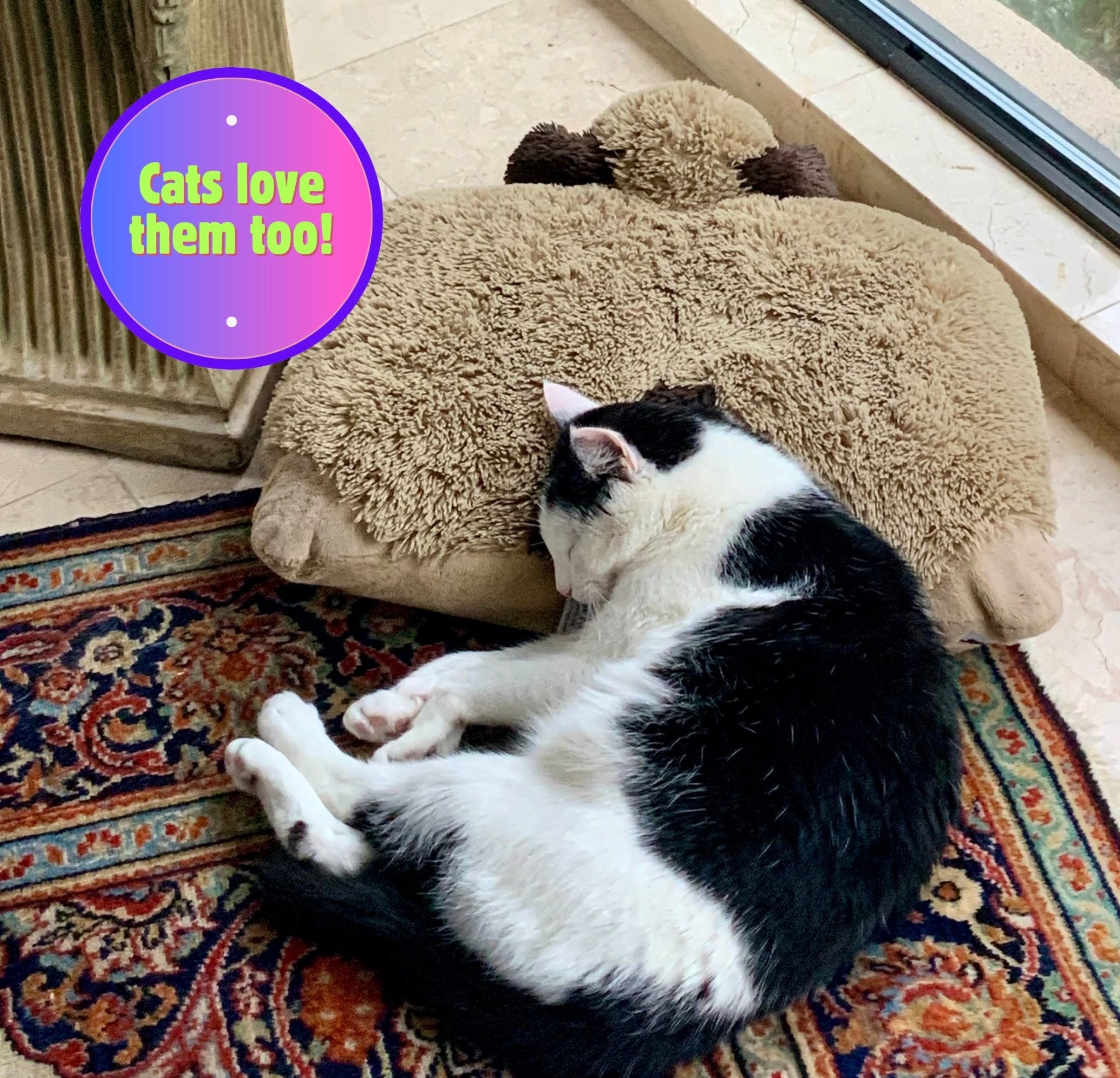 Pillow Pals Squeaky Stuffed Dog Toys: M, L & XL - Glad Dogs Nation | ALL Profits Donated