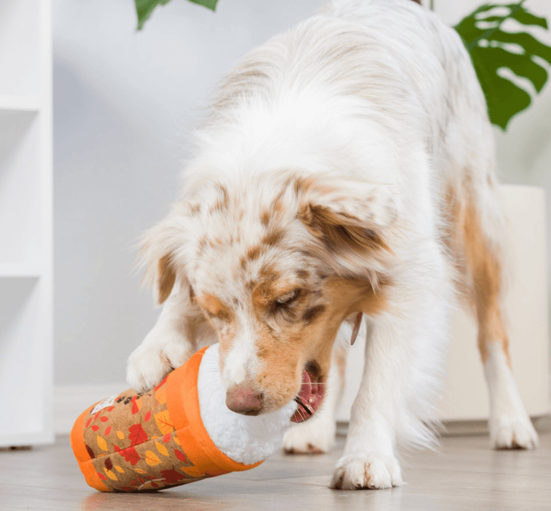 Puggin Spice Latte Power Plush Squeaky Dog Toy: 2 Sizes - Glad Dogs Nation | ALL Profits Donated
