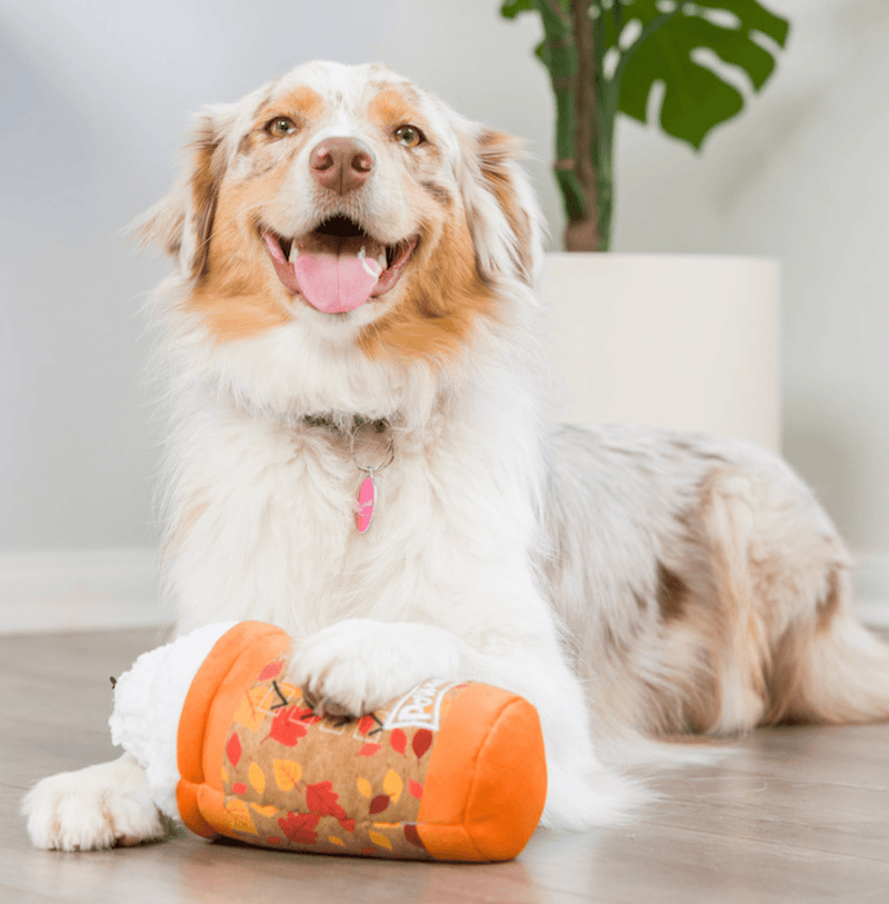 Puggin Spice Latte Power Plush Squeaky Dog Toy: 2 Sizes - Glad Dogs Nation | ALL Profits Donated