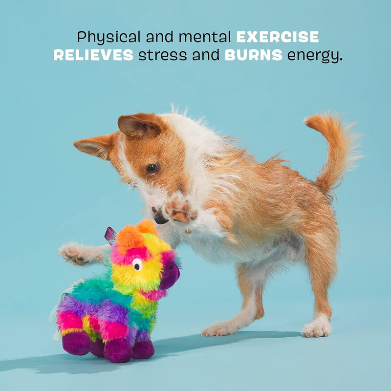 SAVE $1! BARK Large Full O'Fluff Pinata Dog Toy - Glad Dogs Nation | ALL Profits Donated