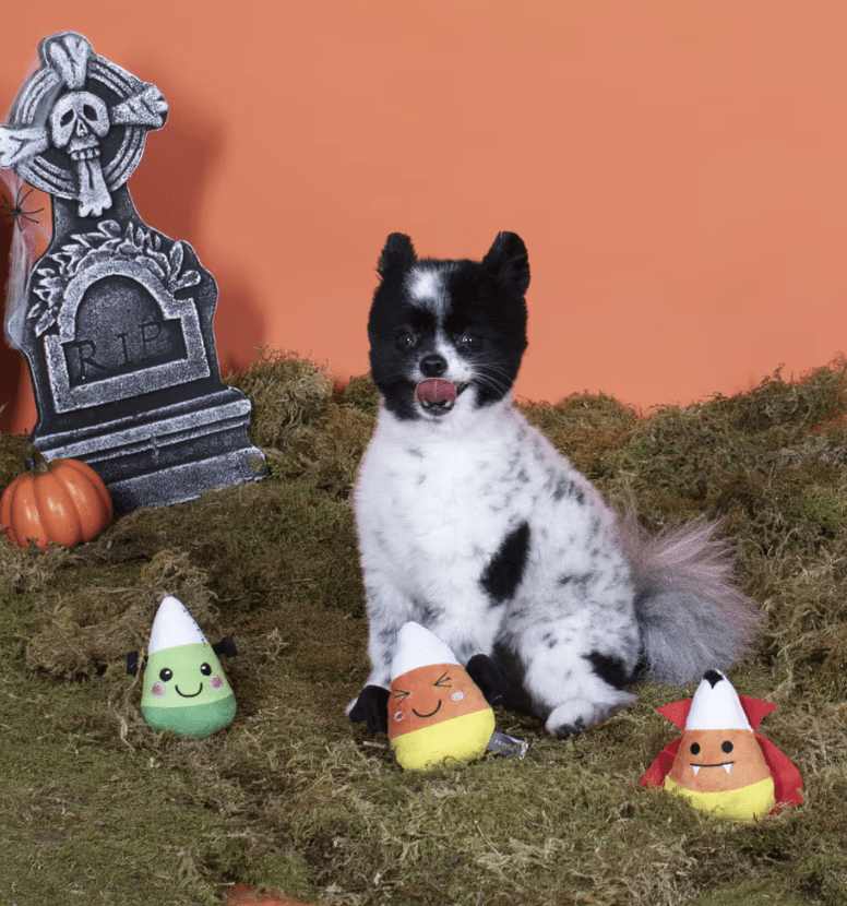 SAVE $1! PetShop by Fringe Candy Corns Small Plush Squeaky Dog Toy 3 Piece Set - Glad Dogs Nation | ALL Profits Donated