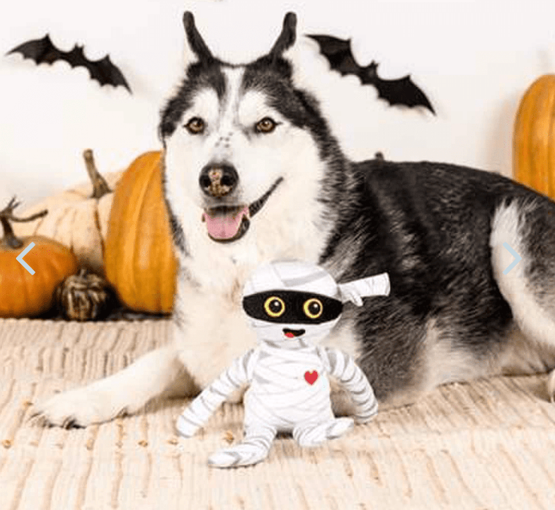 SAVE $1! PetShop by Fringe Studio Oh My Gauze Plush Squeaky Dog Toy - Glad Dogs Nation | ALL Profits Donated