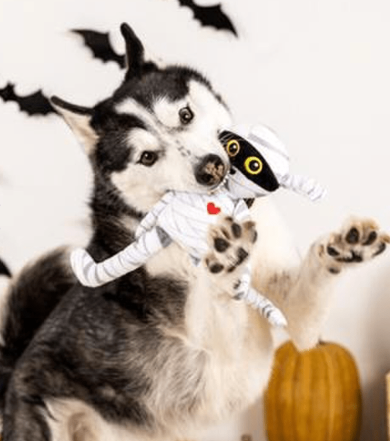 SAVE $1! PetShop by Fringe Studio Oh My Gauze Plush Squeaky Dog Toy - Glad Dogs Nation | ALL Profits Donated