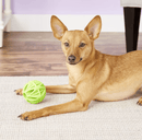 SAVE $2! JW Pets Megalast Ball Tough Toy, Vanilla Scent, 2 Sizes, Choose Your Color - Glad Dogs Nation | ALL Profits Donated