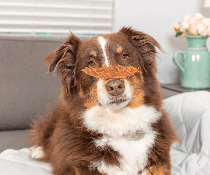 SAVE $3! Natural Cravings USA Chicken Breast Strips Breakable Treat 10 oz. Bag - Glad Dogs Nation | ALL Profits Donated