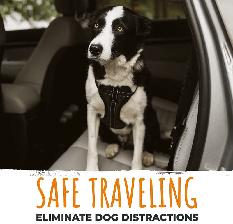 SAVE $4! Mighty Paw Nylon Dog Seat Belt for Buckle, Black - Glad Dogs Nation | ALL Profits Donated