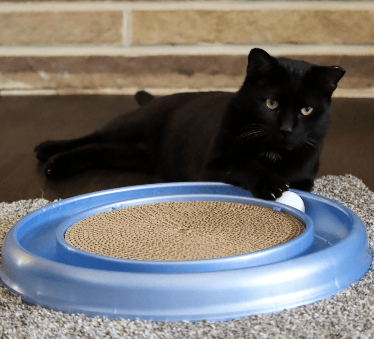 Bergan 70128 16 X 1.88 Turbo Scratcher Cat Toy Assorted Colors