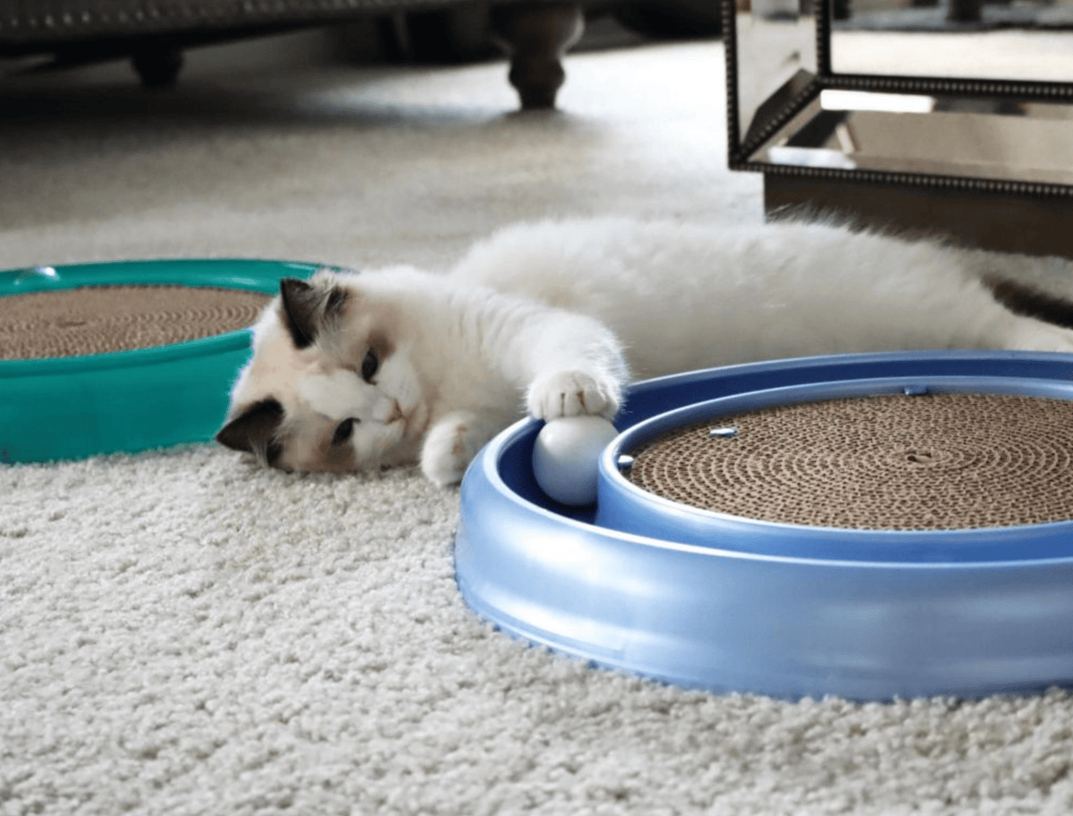 Bergan 70128 16 X 1.88 Turbo Scratcher Cat Toy Assorted Colors