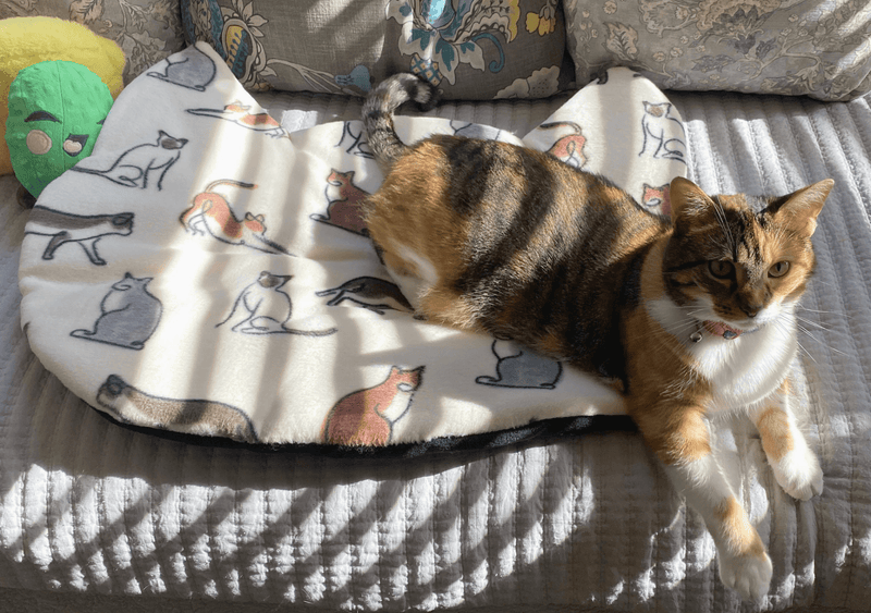 Screaming Pickles Handmade Cat - Head Shaped Fleece Pet Bed Cozy Mat - Glad Dogs Nation | ALL Profits Donated