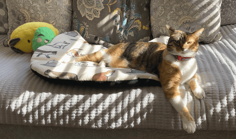 Screaming Pickles Handmade Cat - Head Shaped Fleece Pet Bed Cozy Mat - Glad Dogs Nation | ALL Profits Donated