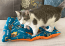 Screaming Pickles Handmade Kitty Meow Fleece Pet Bed Cozy Mat with Pillow - Glad Dogs Nation | ALL Profits Donated