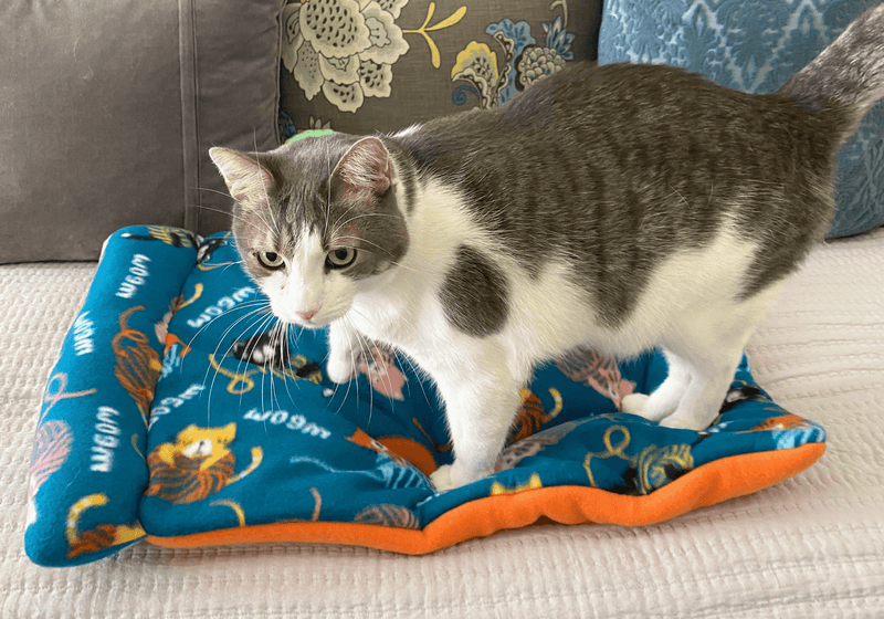 Screaming Pickles Handmade Kitty Meow Fleece Pet Bed Cozy Mat with Pillow - Glad Dogs Nation | ALL Profits Donated