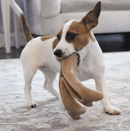 Tall Tails Peanut Butter Antler Chew for Dogs, Fillable: 3 Sizes - Glad Dogs Nation | ALL Profits Donated