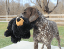 Tall Tails Stuffless Black Bear XLarge 20" Dog Toy - Glad Dogs Nation | ALL Profits Donated