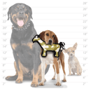 Tuffy Jr. Durable Barnyard Howie The Horse Dog Toy, S/M Dogs - Glad Dogs Nation | ALL Profits Donated
