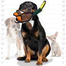 Tuffy's Durable Barnyard Duck Squeaky Plush Dog Toy: M/L Dogs - Glad Dogs Nation | ALL Profits Donated