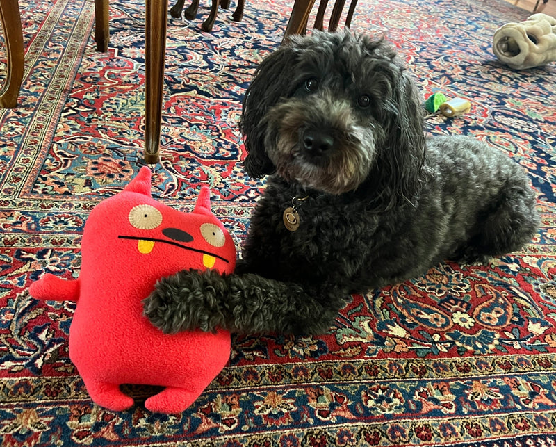 Ugly Dolls Stuffed & Squeaky Dog Toys: All Sizes - Glad Dogs Nation | ALL Profits Donated