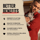 Vital Essentials Minnows Grain - Free Freeze - Dried Raw Cat Treats - Glad Dogs Nation | ALL Profits Donated