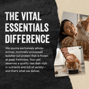 Vital Essentials Minnows Grain - Free Freeze - Dried Raw Cat Treats - Glad Dogs Nation | ALL Profits Donated