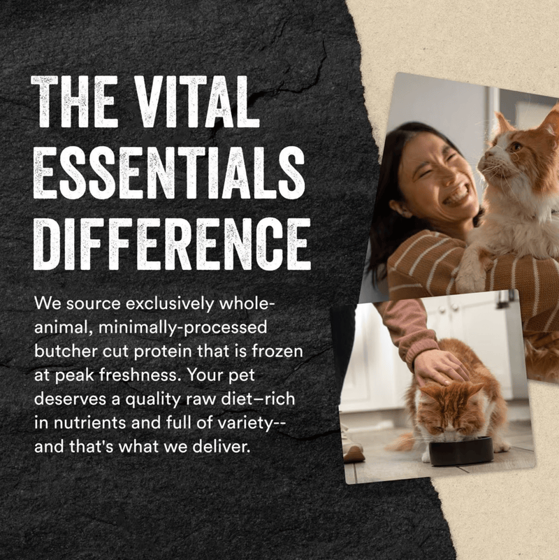 Vital Essentials Minnows Grain - Free Freeze - Dried Raw Cat Treats - Glad Dogs Nation | ALL Profits Donated
