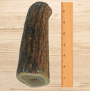 White Tail Naturals Elk Antler Dog Chews: Large & Extra Large - Glad Dogs Nation | ALL Profits Donated