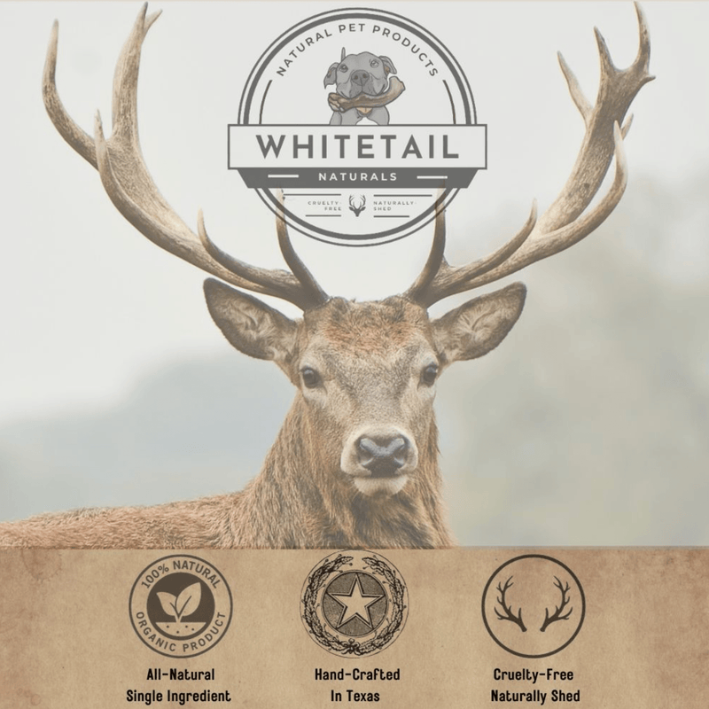 White Tail Naturals Elk Antler Dog Chews: Large & Extra Large - Glad Dogs Nation | ALL Profits Donated