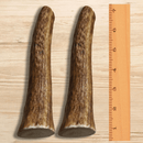 White Tail Naturals Elk Antler Dog Chews: Large & Extra Large - Glad Dogs Nation | ALL Profits Donated