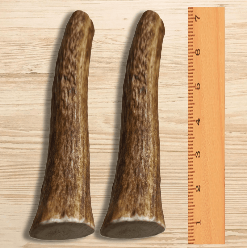 White Tail Naturals Elk Antler Dog Chews: Large & Extra Large - Glad Dogs Nation | ALL Profits Donated