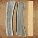 White Tail Naturals Elk Antler Dog Chews: Large & Extra Large - Glad Dogs Nation | ALL Profits Donated