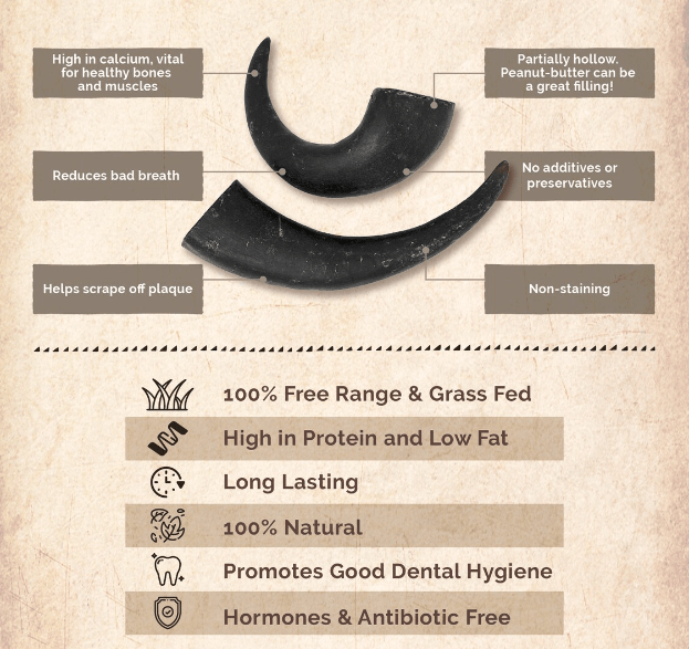 WILD EATS Water Buffalo Horn: Medium, Large, XLarge Dogs - Glad Dogs Nation | ALL Profits Donated