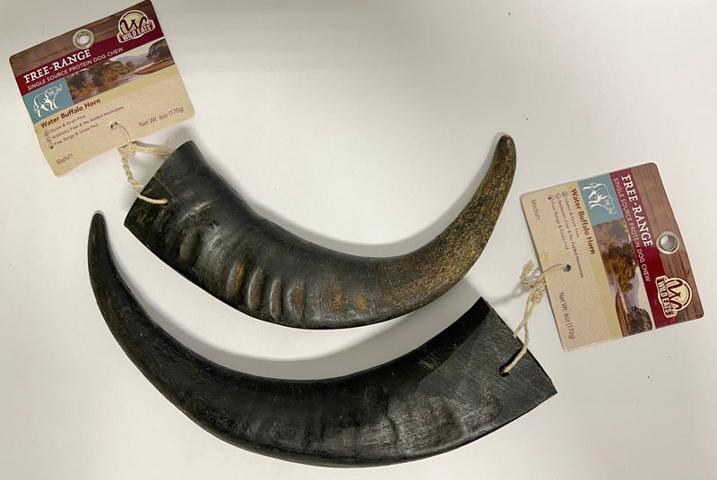 WILD EATS Water Buffalo Horn: Medium, Large, XLarge Dogs - Glad Dogs Nation | ALL Profits Donated