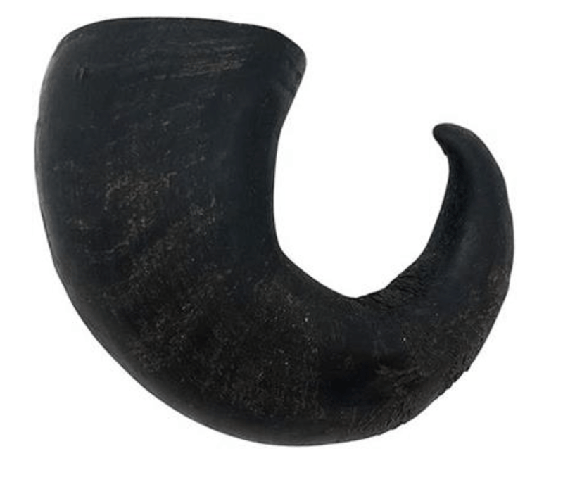 WILD EATS Water Buffalo Horn: Medium, Large, XLarge Dogs - Glad Dogs Nation | ALL Profits Donated