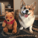 Winnie the Pooh Squeaky & NO Squeak Dog Toys: All Sizes - Glad Dogs Nation | ALL Profits Donated