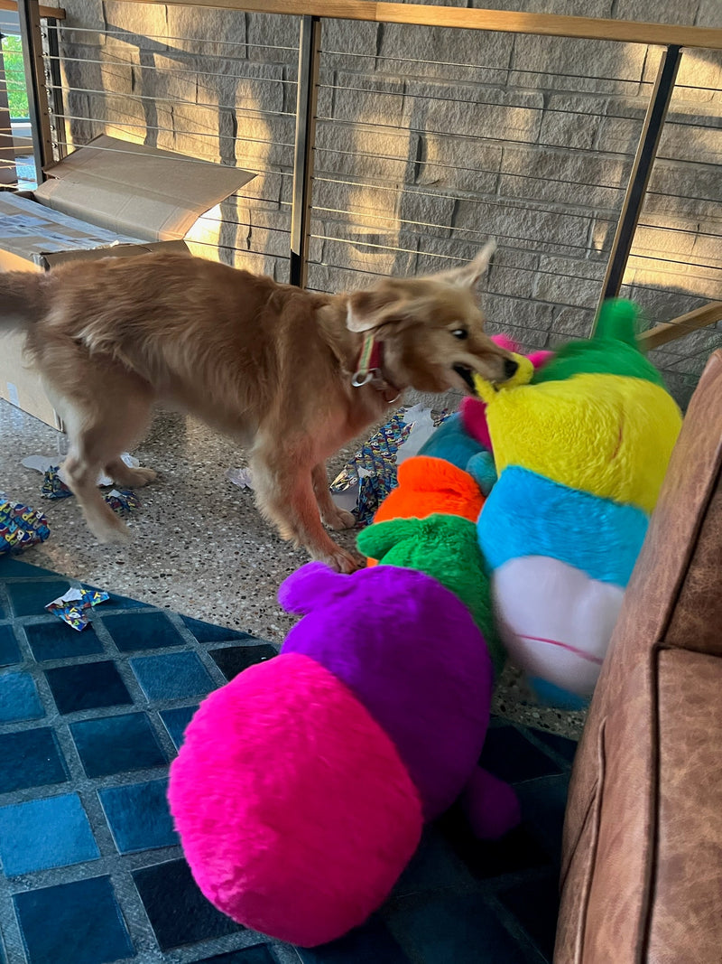 XXLarge Stuffed Dog Toys: 20"+ Squeaky and No Squeak - Glad Dogs Nation | ALL Profits Donated