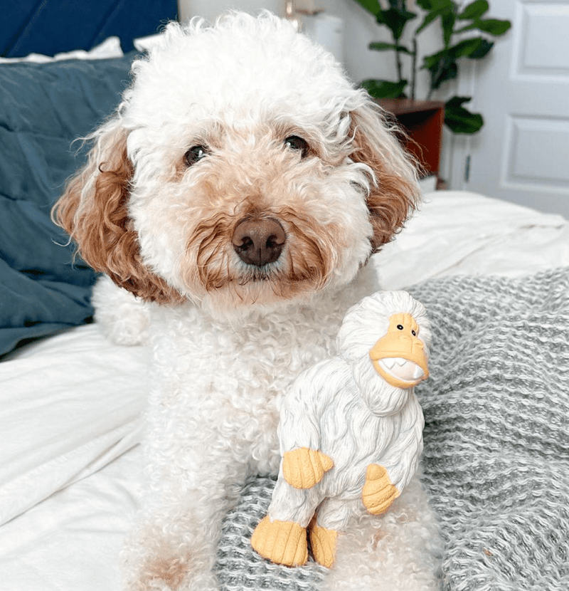 Yeti 7" Latex Squeaker Dog Toy for Dogs of All Sizes - Glad Dogs Nation | ALL Profits Donated