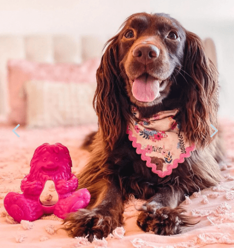 Yeti Dog Yak Cheese Chew Puff & Play Dog Chew Treat Dispenser: Hangry Yeti Blue or Pink - Glad Dogs Nation | ALL Profits Donated