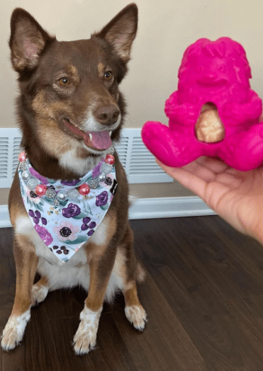 Yeti Dog Yak Cheese Chew Puff & Play Dog Chew Treat Dispenser: Hangry Yeti Blue or Pink - Glad Dogs Nation | ALL Profits Donated