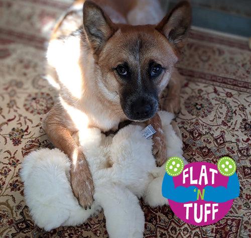 Extra Large FLAT 'N TUFF Dog Toy with NO STUFFING - Glad Dogs Nation | ALL profits donated