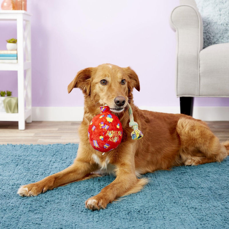 Interactive Dog Toys: Squeaky Balls, Tug & Fetch For Small