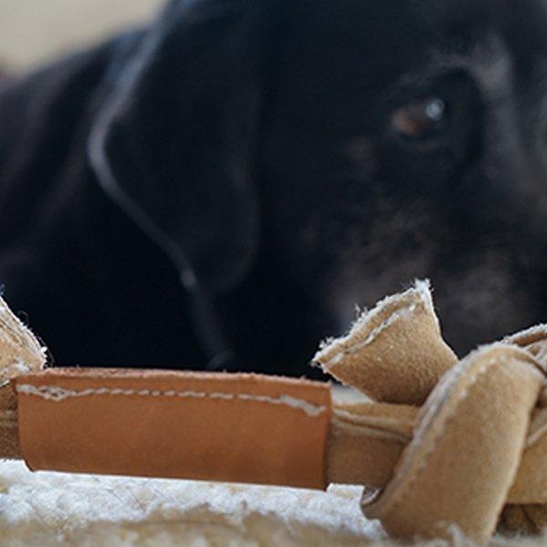 HuggleHounds HuggleHide Bone - Glad Dogs Nation | ALL profits donated
