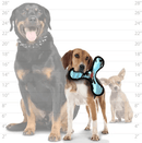 $2 OFF! Tuffy Jr. Ultimate Bow - merang Bomerang Blue Camo Flyer - Glad Dogs Nation | ALL Profits Donated