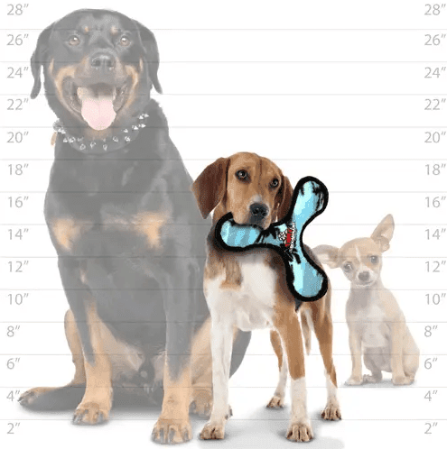 $2 OFF! Tuffy Jr. Ultimate Bow - merang Bomerang Blue Camo Flyer - Glad Dogs Nation | ALL Profits Donated