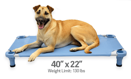 4Legs4Pets Elevated Dog Bed: 40"x22" - Glad Dogs Nation | www.GladDogsNation.com