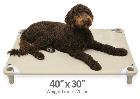 4Legs4Pets Elevated Dog Bed: 40"x30" - Glad Dogs Nation | ALL Profits Donated