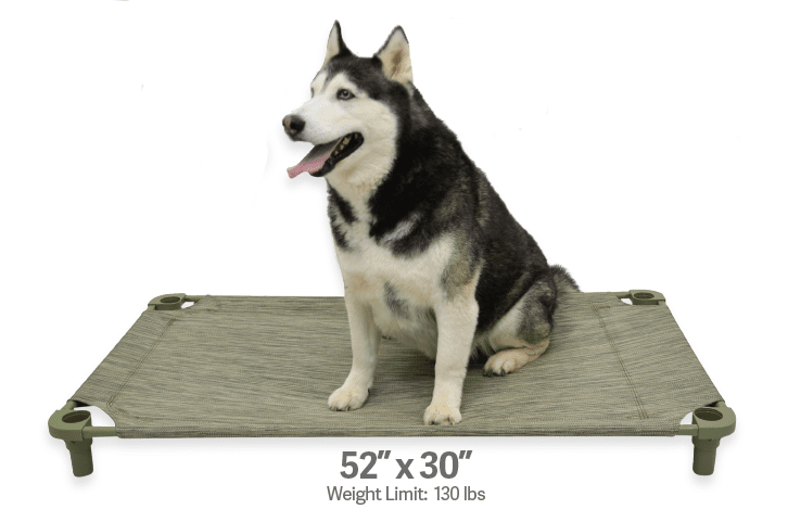 4Legs4Pets Elevated Dog Bed: 52"x30" - Glad Dogs Nation | ALL Profits Donated