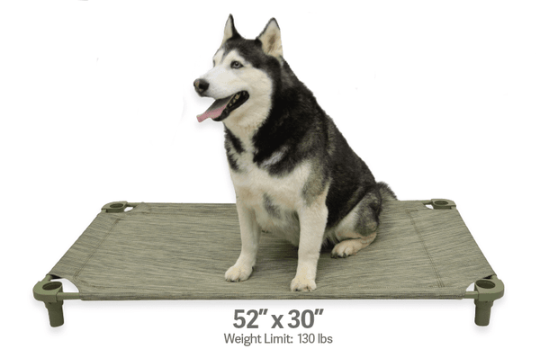 Ik was verrast Dader laag 4Legs4Pets Elevated Dog Bed: 52"x30"