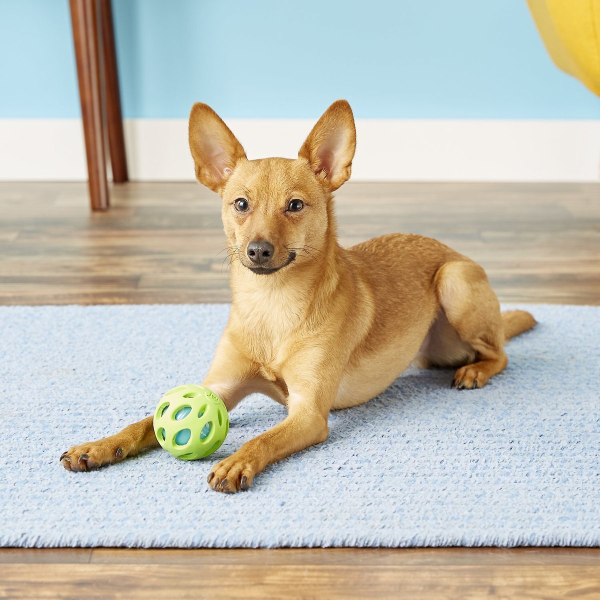 JW Pets Crackle Heads Crackle Ball 3 Sizes Choose Color