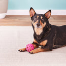 JW Pets Crackle Heads Crackle Ball: 3 Sizes, Choose Color