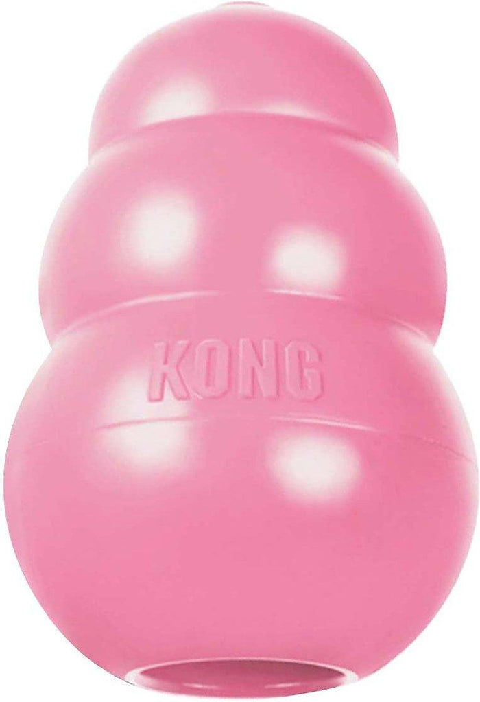 Chewy kong ball cheap