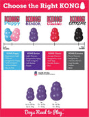 Kong Senior Dog Toy: 3 Sizes / CHEAPER THAN CHEWY!